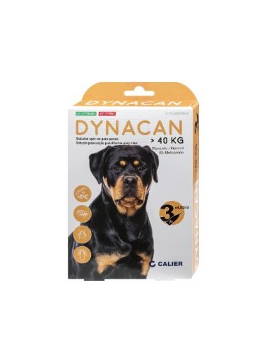 DYNACAN PERRO >40 KG 3 PIP. 