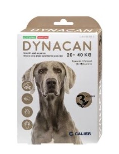 DYNACAN PERRO 20-40 KG 3 PIP. 