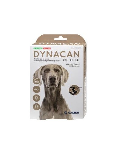 DYNACAN PERRO 20-40 KG 3 PIP. 