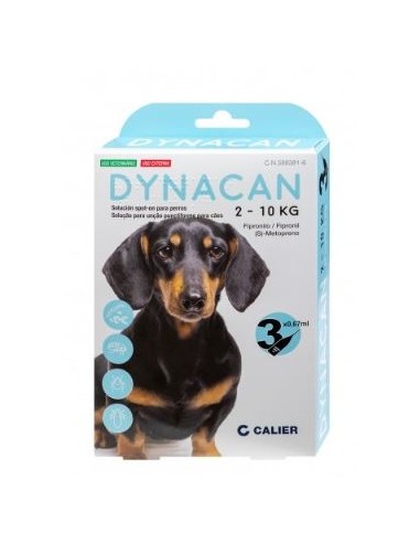 DYNACAN PERRO 2-10 KG 3 PIP. 