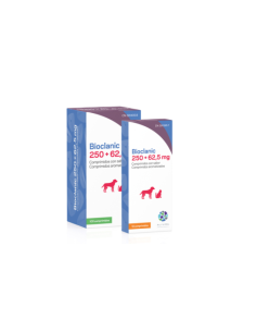 BIOCLANIC 250 MG 62,5 MG 100 COMP 
