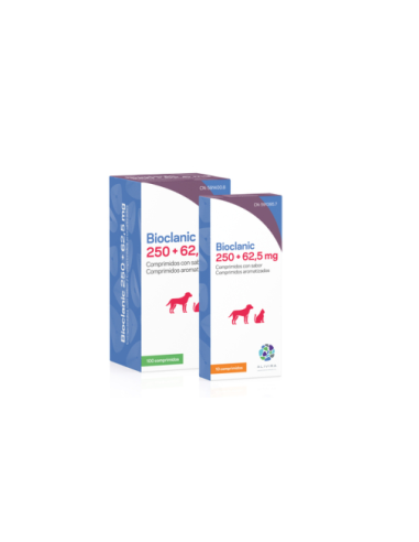 BIOCLANIC 250 MG 62,5 MG 100 COMP 