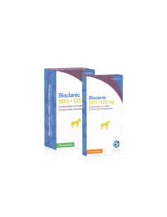 BIOCLANIC 500 MG 125 MG 100 COMP 