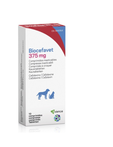 BIOCEFAVET 375 MG 10 COMP MASTICABLES 