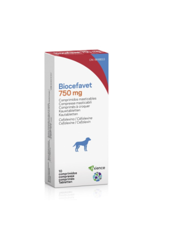 BIOCEFAVET 750 MG 10 COMP MASTICABLES 