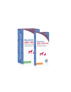 BIOCLANIC 250 MG + 62,5 MG 10 COMP 