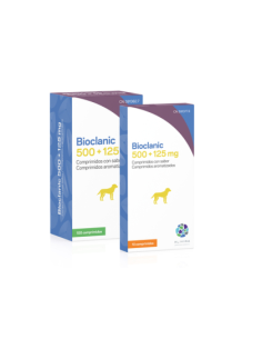 BIOCLANIC 500 MG + 125 MG 10 COMP 