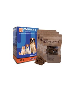 COMPLEX B 60 SNACK 4 GR 