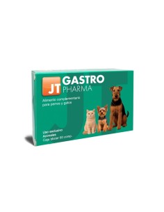GASTRO PHARMA 60 COMP 