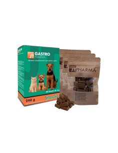 JT- GASTRO PHARMA 60 SNACK 4GR 