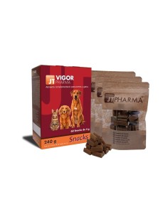 JT- VIGOR PHARMA 60 SNACK 4GR 