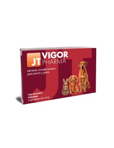 VIGOR PHARMA 60 C 