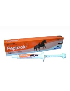 PEPTIZOLE 370 MG/G PASTA ORAL EQUINO 