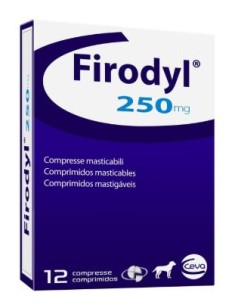 FIRODYL 250 MG 12T 