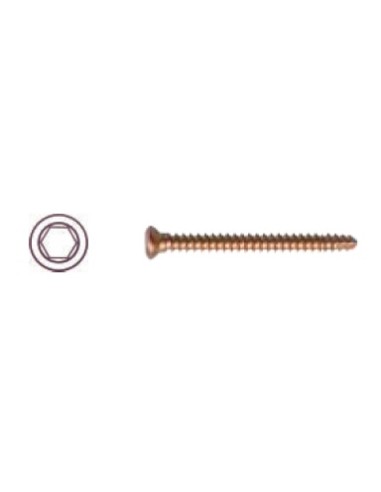 TTA RAPID Bone screw Cortex  2.4, 20 mm  hex.Titan 