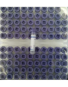 TUBO EDTA K3 0,5 ML 12X55 100UD MALVA AQUISEL