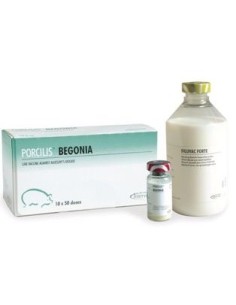 VACUNA PORCILIS BEGONIA 50 D + DISOLV 