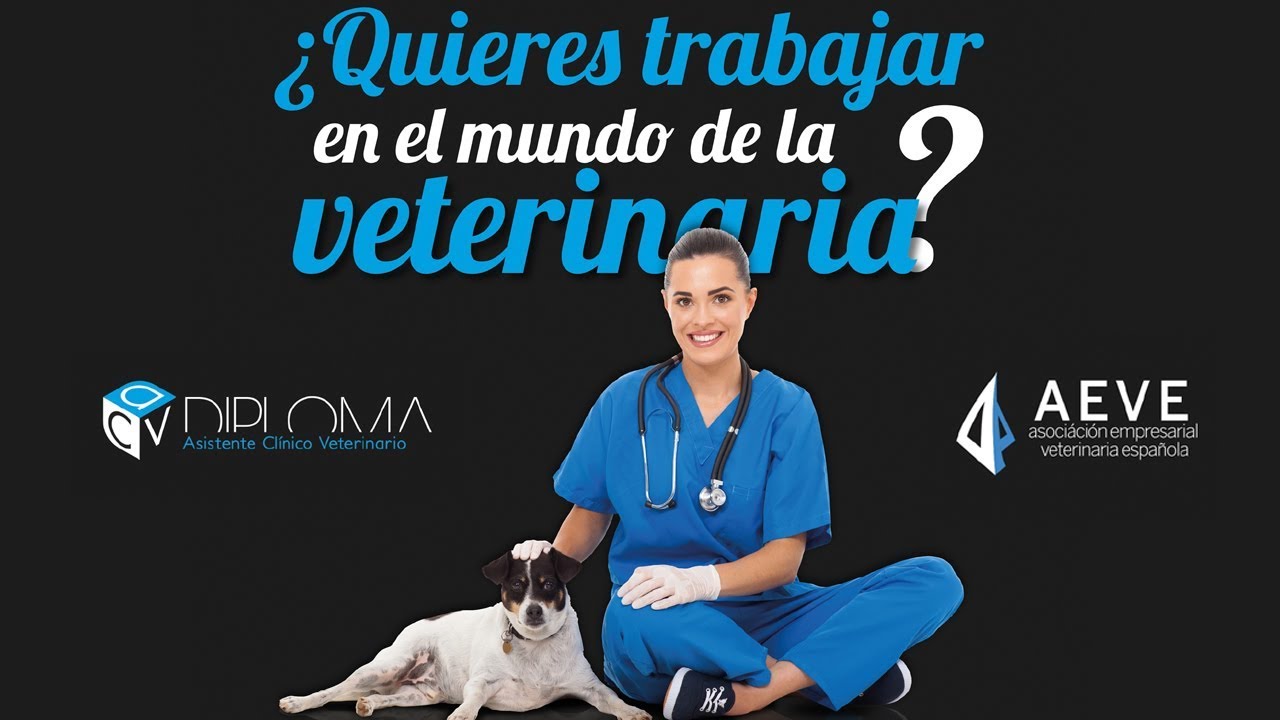 Academia veterinaria